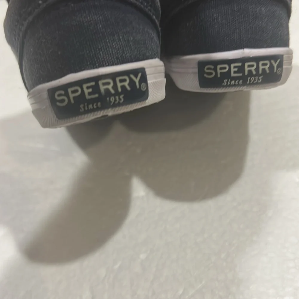 Sperry questions leave